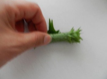 step3: 青紫蘇——切絲