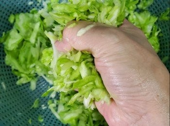 step1: 首先椰菜買回家洗乾淨瀝乾水切絲， 放入適量鹽分政治10分鐘，用手釋出水份備用，豬上肉七瘦三肥將他剁碎，蝦米剁碎備用，醃製加入半茶匙鹽，一茶匙雞粉，半茶匙糖，適量胡椒粉，一茶匙生粉，適量油加入蝦米一同攪勻，完成放入冰櫃說過夜或8小時取出