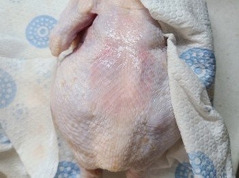 step5: 把雞取出用清水沖洗，再用廚紙將雞的裡裡外外都擦乾。