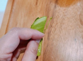 step2: 用手撕出檸檬葉中間的梗。