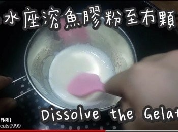 step11: 隔水座溶魚膠粉至冇顆粒