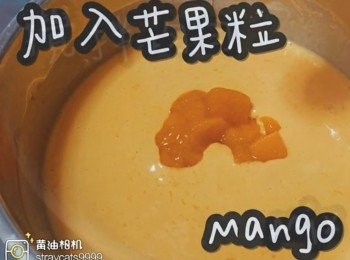 step15: 加入芒果粒