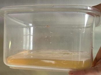 step5: 然後將愛玉水放入雪櫃靜置，直到凝固成愛玉凍，凝固後切成塊狀。