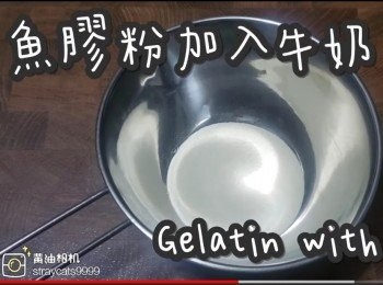 step10: 魚膠粉加入牛奶