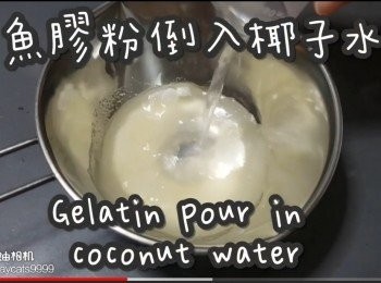 step13: 魚膠粉加入椰子水