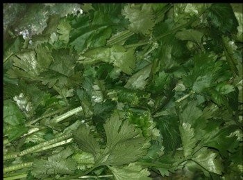 step1: 3 束新鮮芫茜。