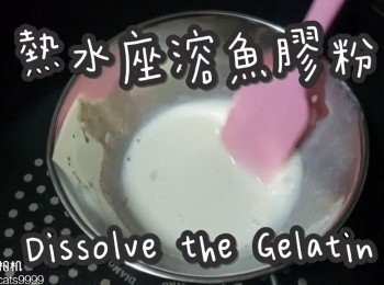 step12: 隔水座溶魚膠粉至冇顆粒
