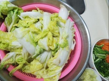 step1: 大白菜切開6份，將鹽花搽上大白菜每一片上邊30分鐘，再用清水清洗瀝乾水份將他的水份釋出和軟化，蒜頭剁成蒜蓉備用，蘿蔔設施備用，韭菜切斷備用，沖切斷備用，紅蘿蔔切絲備用