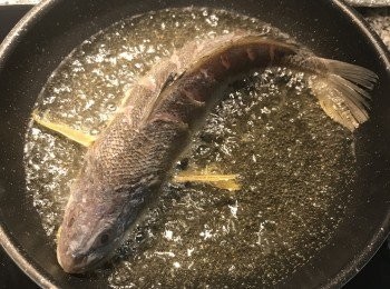 step3: 鍋裡下油燒熱，將魚放入先將魚肚煎炸定型；