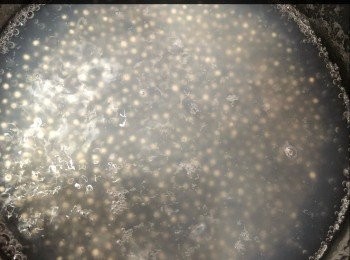 step3: 15分鐘後還未完全熟透心的,熄火焗佢30分鐘