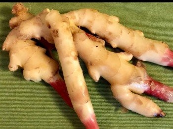 step6: 醃子薑做法：
買回來的子薑略為沖洗一次。