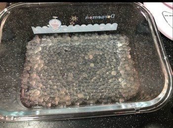 step17: 倒入芒果椰漿水，輕輕攪動
雪三小時或過晚，等佢凝固就可食