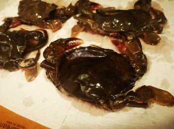 step1: 解凍後去鰓，再用廚紙索乾水份