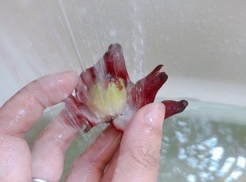 step3: 打開沖洗內裡乾淨。