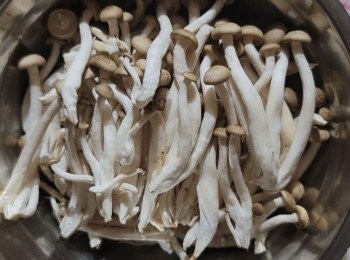 step1: 柳姬菇洗淨，用手將菇一條條摘下來