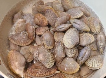 step4: 花甲和水一同加入鍋中，烚至一見開口便隨即撈起。