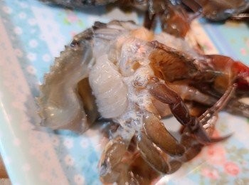 step2: 軟殼蟹解凍後，洗淨，在蟹眼睛的兩側掀開小縫，小心地除去鰓及蟹蓋嘴上方之胃袋和眼睛，並用廚紙吸乾水份和灑上少許胡椒粉。
