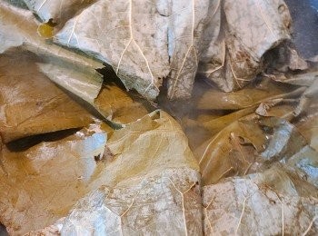 step2: 乾荷葉先用濕布抺一抺，再汆水約1分鐘至軟身，取出，再用廚房紙抺乾淨，備用。