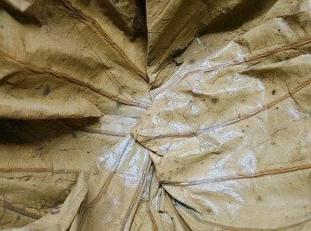 step3: 將處理好的荷葉放入一大深碗內。