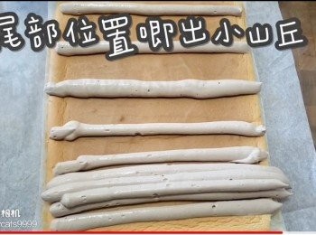 step54: 近尾部位置唧出小山丘