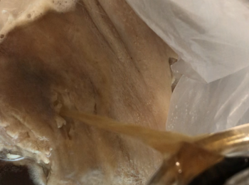 step5: 倒入啤酒，搖勻