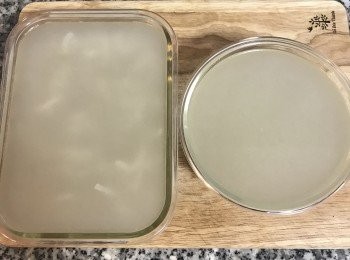 step9: 倒入模型中放冷後，移入冰箱冷藏過夜。
冰1個半小時，其實就已凝固，不過較偏軟，所以冰過夜最好。
右手邊的是沒有放豬皮的皮凍，因為要拿來做湯包。