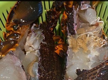 step2: 龍蝦切件(可請海鮮檔幫忙)，用鹽水洗淨；煲滾一鍋水，放入少許鹽，將龍蝦件輕輕川燙，盛起。