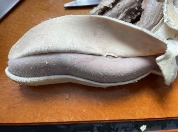 step4: 可以輕易撕出厚表皮（脷苔）。