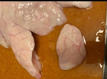 step2: 豬肺灌水後壓出水，重復多次，
直至血水洗出
切件 ，大約半隻手掌✋🏻