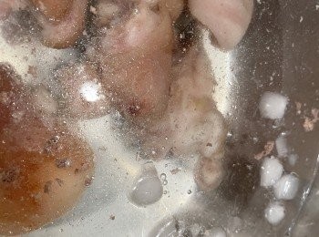 step8: 用水沖洗豬手和豬腳，想豬皮口感較爽，可浸冰水過冷河
