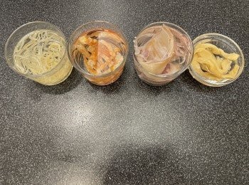 step2: 乾魷魚去中間軟骨和衣再切絲，蝦乾去腸，銀魚仔浸軟後用廚紙索乾水，菜甫瀝乾水份切粒，韭菜花切去最尾較老部份，其他切段