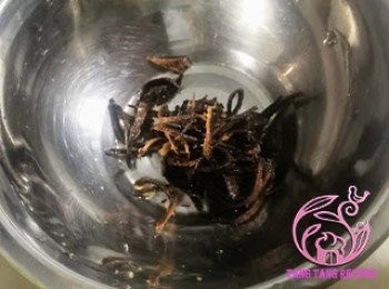 step5: 陳皮清水浸軟，刮囊，切絲。