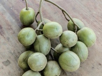 step1: 沙梨橄欖：正名為太平洋榅桲。是東南亞常見的果樹，果實表皮粗糙，未成熟時是青綠色，風味酸澀、脆口，多用以涼拌、醃漬或煮湯。待果實成熟、表皮轉黃時，會帶點微甜酸香，涼拌之外也會做成蜜餞或煮果醬。

※ 沙梨橄欖也可用青芒果取代。