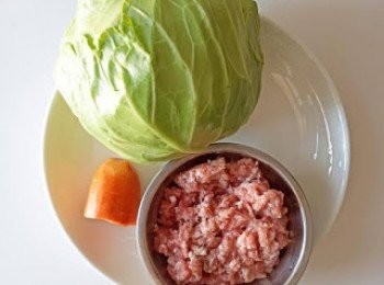 step1: 先準備好以上材料