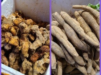 step2: 新鮮的牛大力、土茯苓都可以係街市濕貨店買到 。只要同店員講飲既人數，他們就會幫忙執相關份量和處理。