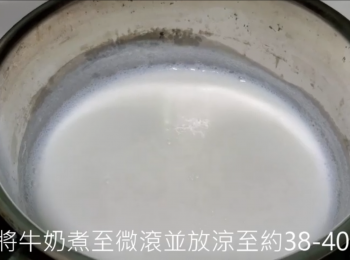 step2: 鮮奶煮至微滾，如果要加糖可現在加入適量糖，請自己調味。待鮮奶放涼至大約38-40度，如無溫度計，只須用手摸一下煲，不燙手就可以了。