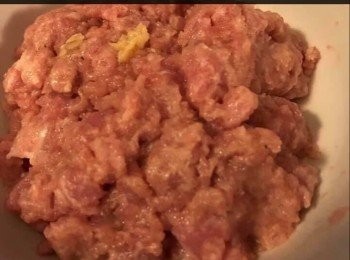 step2: 新鮮豬肉半斤，洗淨後放入攪拌機攪成肉醬。