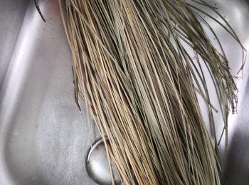 step2: 咸水草也用熱水泡軟令水草吸飽水後扎粽才不會折斷