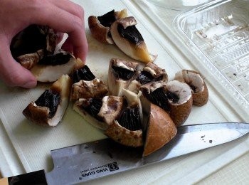 step1: 波特菇、洋蔥、雞腿排切塊