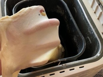 step1: <span class="group_2">麵團</span>的製作，放入除了黃油的<span class="group_1">食材</span>，揉成光滑的<span class="group_2">麵團</span>，再加入黃油，再揉出手套膜