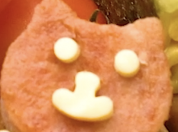 step11: 放到午餐肉上組成貓的模樣