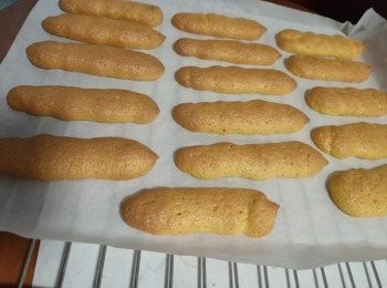 step10: 倒入1/3或者1/2乳酪糊，抹平，撒可可粉。