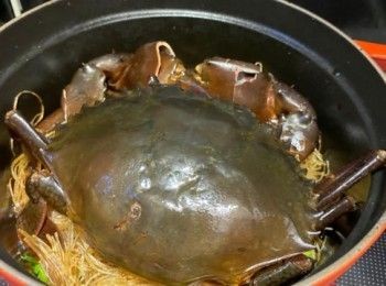 step8: 以中小火焗至粉絲乾身(收汁)，加入芫荽裝飾，即成。