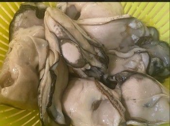 step2: 1. 桶蠔用生粉拌勻，再用鹽水輕輕拌洗，洗淨蠔殘；洗乾淨後用廚房紙印乾。