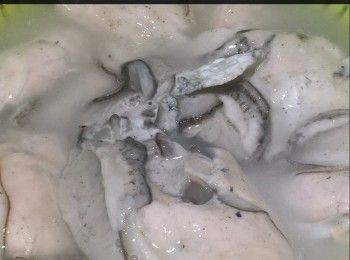 step4: 3. 出爐後放架在窗旁放在窗旁有少少陽光位置晾曬每邊1天(共2天)，至表面金黃，即成。