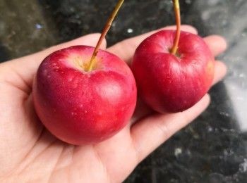 step3: 將咸牛油，咖啡糖，椰漿，糖漿放入煲內是溶後以小慢慢煮到糖的溫度上升至150-160度関火，加雲尼拿油及肉桂粉拌勻