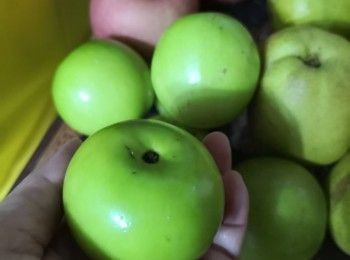 step1: 先將青棗洗淨烘乾備用