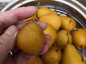 step1: 先將野生沙梨仔洗淨去皮備用