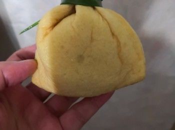 step3: 用蔥綁好便可以了(不喜歡蔥的朋友可以用牙籤拮收口,但緊記煮熟後拆走才吃)