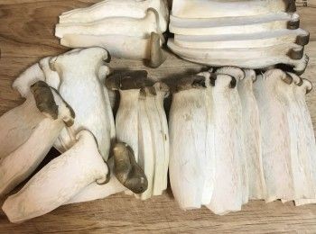 step2: 杏鮑菇用廚房紙巾擦乾淨，切片（不要切太薄喔～）